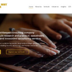 Case Study: Black Mint Africa Consulting